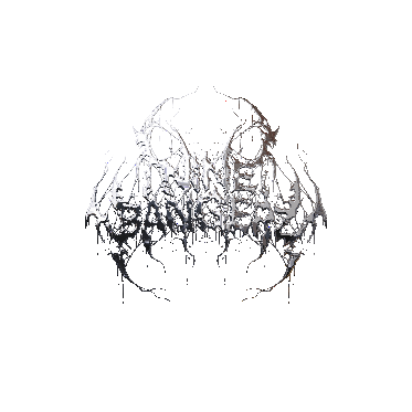 Ninebangerz Photo Plan