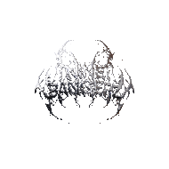 Ninebangerz Photo Plan